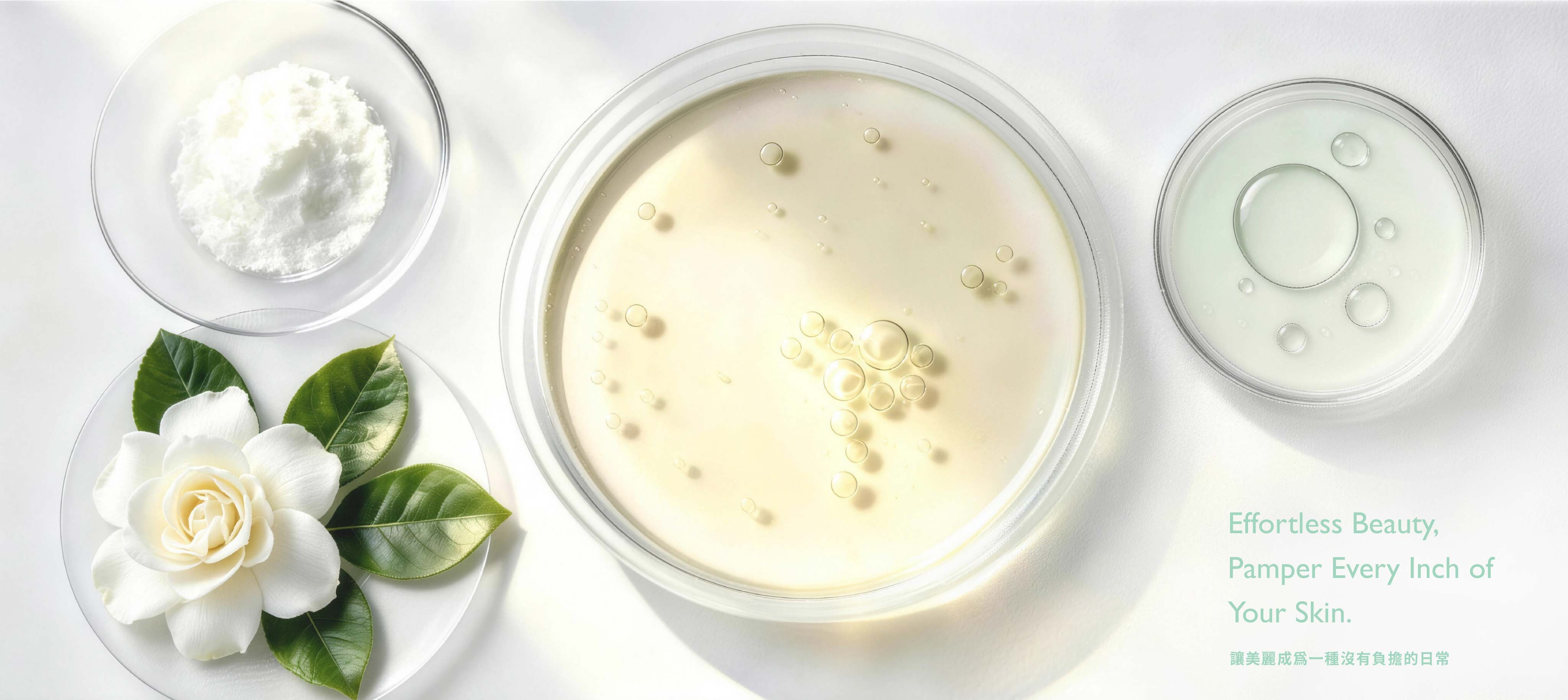 Vecs Gardenia Hero Banner