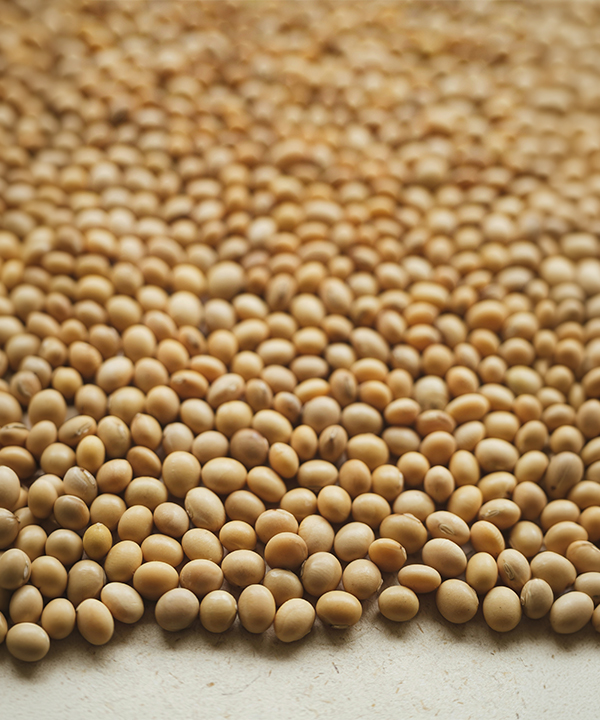 複合式保濕滋潤劑(植物胎盤卵磷酯)