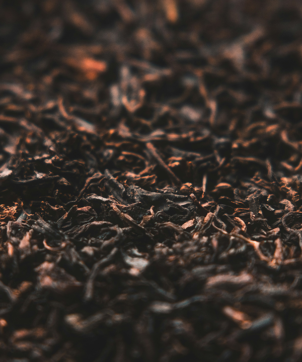 專利紅茶中酵母發酵精華