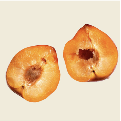 橄欖來源角鯊烷